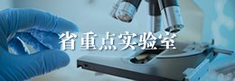 相关阅读
