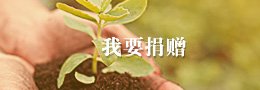 文内链接用于对照细节