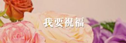 栏目用于追新